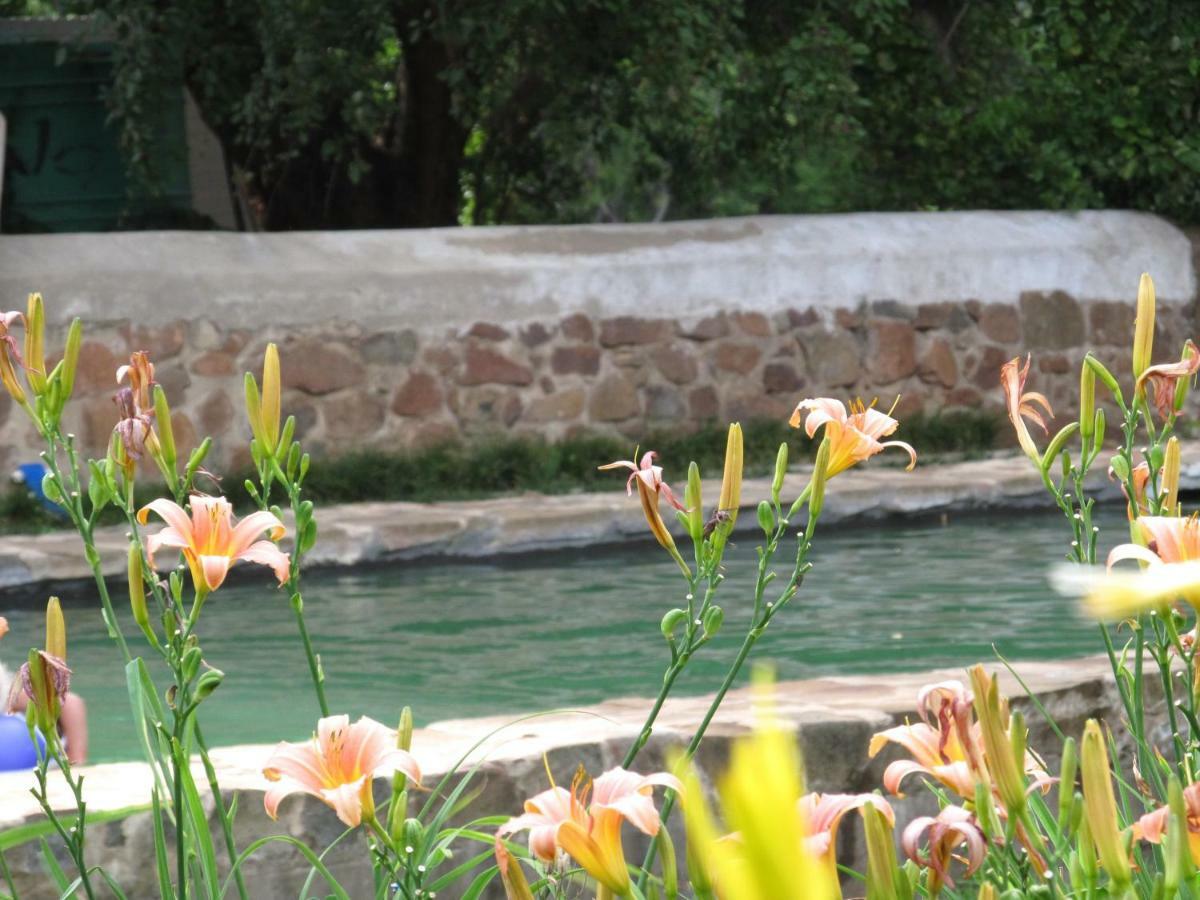 Hillside Farm Hotel Trompsburg ภายนอก รูปภาพ